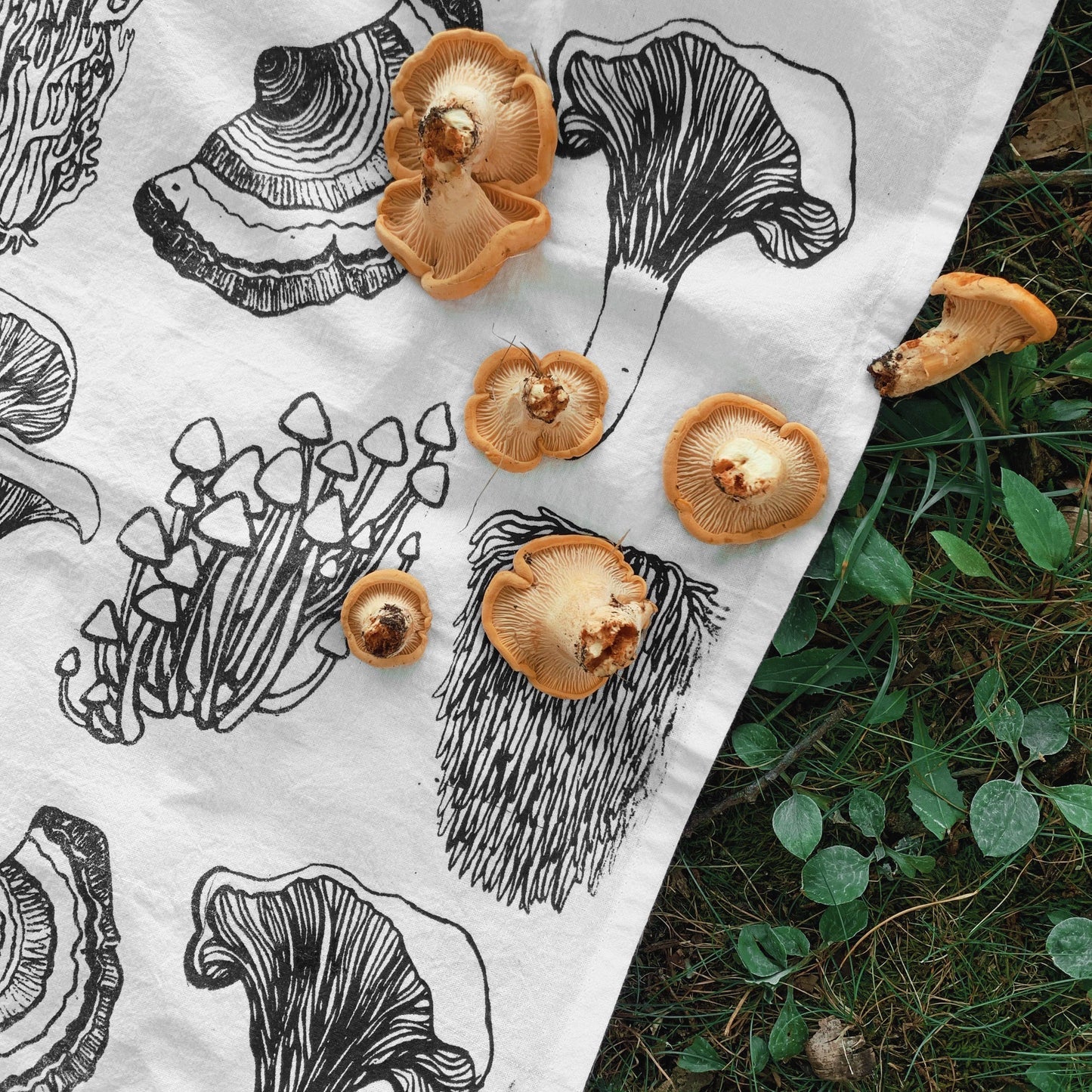 Mushroom Tea Towels